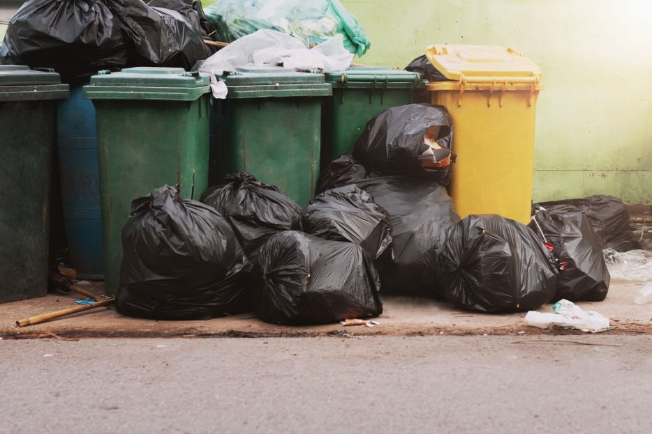 Una razón más para reciclar: Multas por basura en CDMX
