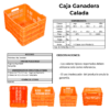 02 05 2023 01 09 56 048 VEU0075A.png