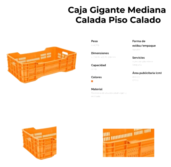 02 05 2023 01 10 03 014 VEU0077B.png