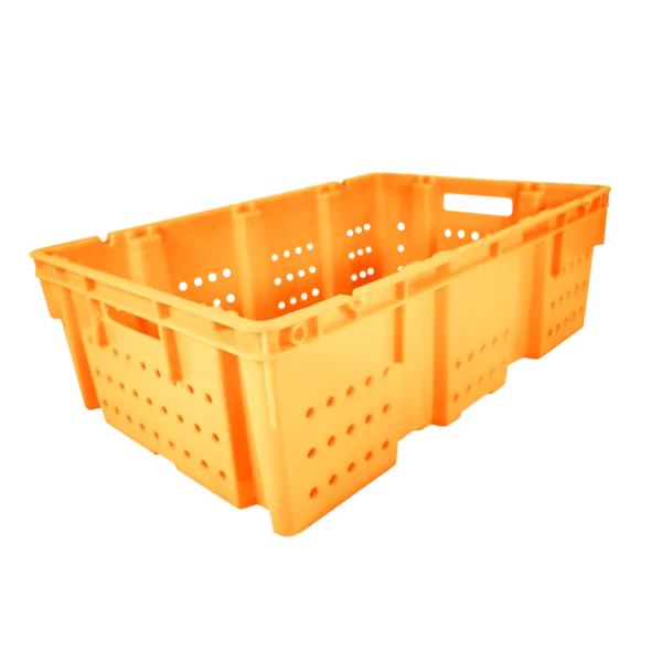 26 03 2024 07 37 02 684 VEU0082.001.png