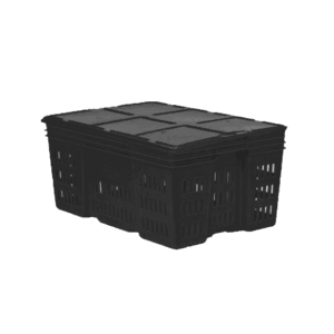 10 04 2024 06 15 06 193 VEU0036.006.png