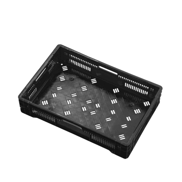 10 04 2024 06 15 36 875 VEU0068.003.png