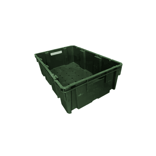 10 04 2024 06 15 53 673 VEU0082.005.png