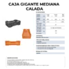 27 06 2024 04 54 14 937 VEU0077.005.png