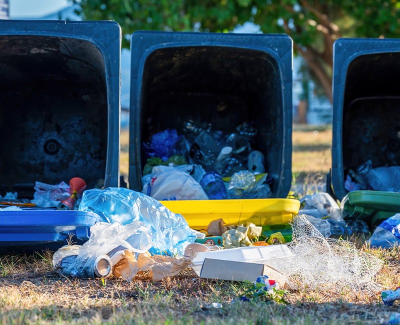 Contenedor Ideal ¡Tu Empresa Eco Responsable! 2