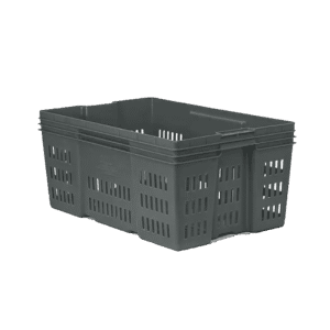 10 04 2024 06 15 05 279 VEU0036.002.png