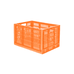 10 04 2024 06 15 29 665 VEU0061.002.png