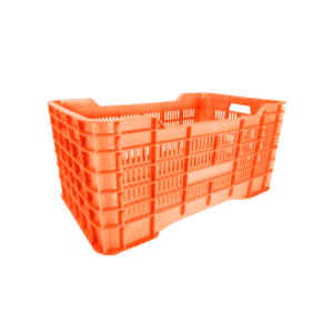 10 04 2024 06 15 41 501 VEU0076.001.png