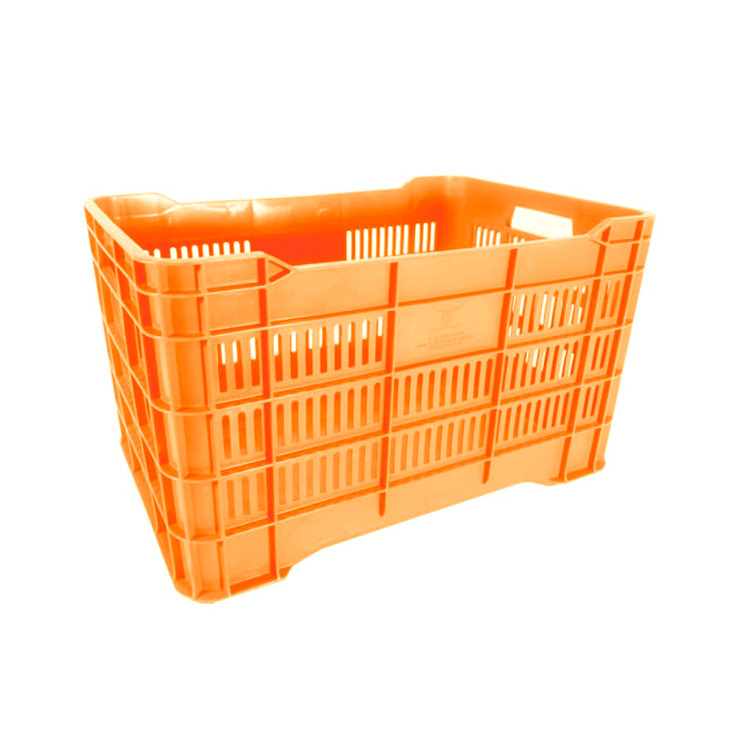 10 04 2024 06 15 49 784 VEU0080.003.png