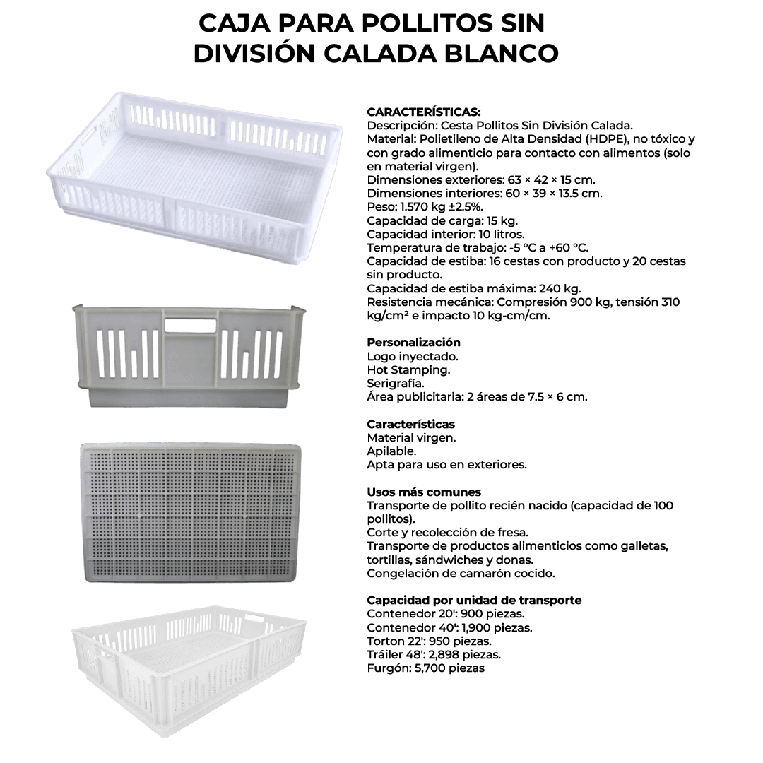 13 07 2026 03 49 57 181 VEU0091.003.png